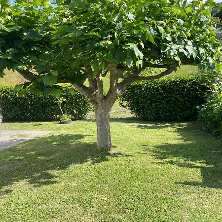 Moradia Rústica Jardim Villa Caloura Exterior foto